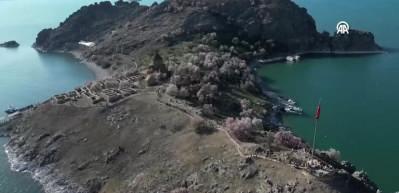 &Ccedil;i&ccedil;ek a&ccedil;an badem ağa&ccedil;ları Akdamar Adası'nı renklendirdi