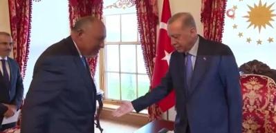 Cumhurbaşkanı Erdoğan, Mısır Dışişleri Bakanı Şukri’yi İstanbul’da kabul etti