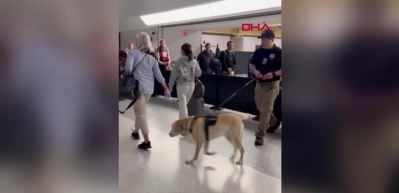 Bomba avcısı k&ouml;peğe son iş g&uuml;n&uuml; s&uuml;rprizi! O anlar viral oldu