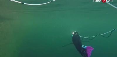 Orta Doğu'daki su yollarına süper büyük boy palyaço balığı robotları geliyor