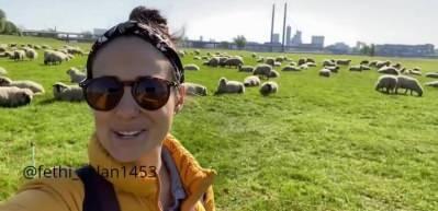 Almanya sokaklarında sahipsiz k&ouml;pek yer almazken sosyal medyada paylaşılan bir g&ouml;r&uuml;nt&uuml; &ccedil;ok d&uuml;ş&uuml;nd&uuml;rd&uuml;...