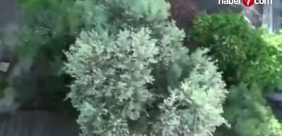 &Uuml;nl&uuml; şarkıcı Kalben'in evinden &ccedil;ıkanlar şoke etti! Kalben'in karakolda ilk s&ouml;zler bu oldu