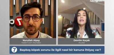 Başıboş k&ouml;pek sorunu ile ilgili belediyeler bu kanuna aykırı hareket ediyor!