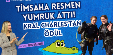 Timsaha resmen yumruk attı! Kral Charles'tan ödül! Neler Oldu Neler?