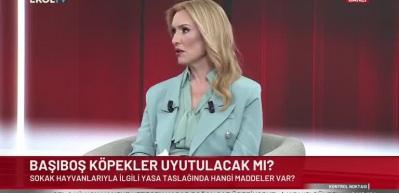 İpek &Ouml;zkal: Bu artık g&uuml;venlik meselesi
