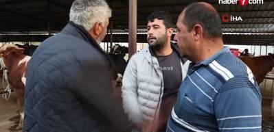 Kurban Bayramı &ouml;ncesi hayvan pazarları hareketlendi