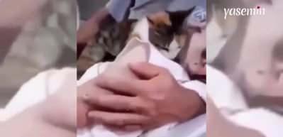 Yürek sızlatan anlar! Bir kedi hayatını kaybeden Gazzeli çocuğa böyle veda etti