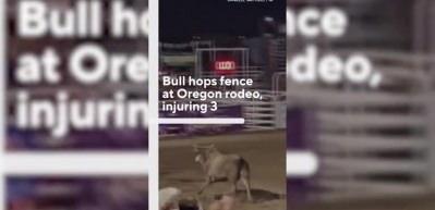 Rodeo boğası seyircilerin arasına daldı, panik anları b&ouml;yle g&ouml;r&uuml;nt&uuml;lendi
