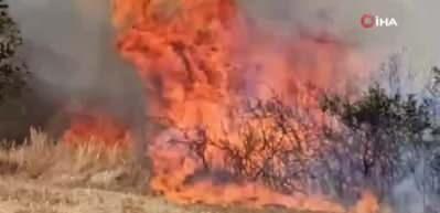 Edirne'de &ouml;rt&uuml; yangını 3 k&ouml;ye sı&ccedil;radı 