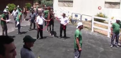 Tay'ın fiyatını duyanlar kulaklarına inanamadı...