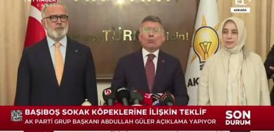 AK Parti'den sokak k&ouml;peklerine ilişkin 17 maddelik teklif!