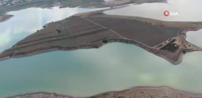 Denize kıyısı olmayan Sivas'ta Anadolu'nun en b&uuml;y&uuml;k adası satıldı