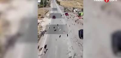 Başıboş k&ouml;pekler T&uuml;rkiye'nin imajına b&uuml;y&uuml;k darbe vurdu!
