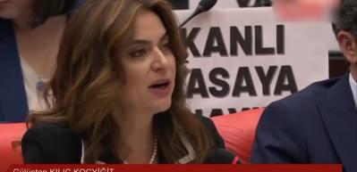 TBMM'de ter&ouml;r halayını savundu! DEM Parti'li G&uuml;listan Kılı&ccedil;, PKK destek&ccedil;ilerine b&ouml;yle arka &ccedil;ıktı