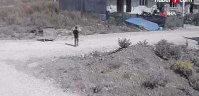 Ekmek almaya giderken kanala d&uuml;şen &ccedil;ocuğun &ouml;l&uuml;m&uuml;nde k&ouml;pek ş&uuml;phesi