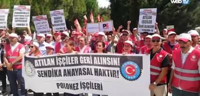 Bakanlık Polonez gıda iş&ccedil;ileri i&ccedil;in harekete ge&ccedil;ti