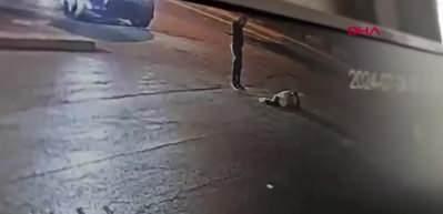 Bakırk&ouml;y'de alkoll&uuml; s&uuml;r&uuml;c&uuml;n&uuml;n otomobiliyle &ccedil;arptığı 19 yaşındaki Said hayatın kaybetti