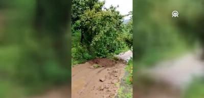Trabzon'daki heyelanda fındık ağacının kayarak s&uuml;r&uuml;klenmesi cep telefonuyla kaydedildi