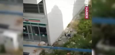 Başıboş sokak k&ouml;pekleri vatandaşı tedirgin ediyor! Yaşlı kadın dehşeti yaşadı