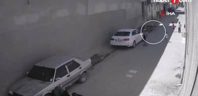 T&uuml;rkiye'deki sokak k&ouml;peği sorunu İngiliz medyasında da yer buldu...