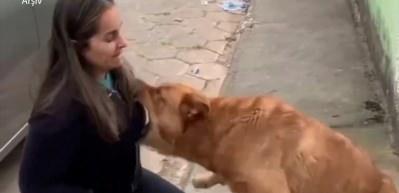 Etimesgut Belediyesi de k&ouml;pek lobisine destek veriyor! İşte vatandaşın hassasiyetini yok sayan o a&ccedil;ıklamalar