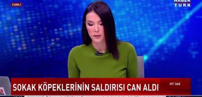 İstanbul'un g&ouml;beğinde sahipsiz k&ouml;pekler bir genci &ouml;ld&uuml;rd&uuml;!İşte olayın ayrıntıları...