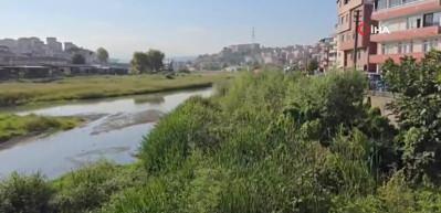 Alaplı &ccedil;ayı, &ccedil;ayıra d&ouml;nd&uuml;