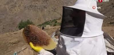 Batman'dan d&uuml;nyaya: 1 kilo bal 160 bin liradan alıcı buldu!