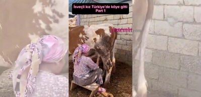 İsveçli kız Tükiye'de inek sağdı! Köy ziyareti sosyal medyada gündem oldu