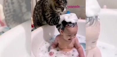 Kedi bebeğe banyo yaptırıyor! O görüntüler sosyal medyada viral oldu