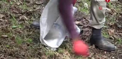 Afrikalı &uuml;niversite &ouml;ğrencileri har&ccedil;lıklarını fındık bah&ccedil;esinden &ccedil;ıkartıyor
