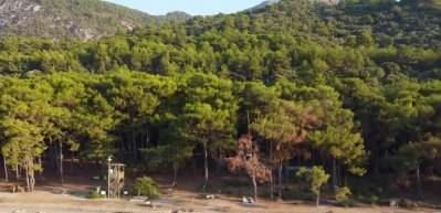 Milli Parkları 8 ayda 39 milyon kişi ziyaret etti