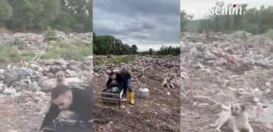 Çöplükte yaşayan aç ve susuz köpekleri unutmadı! Onlara yemek hazırladı