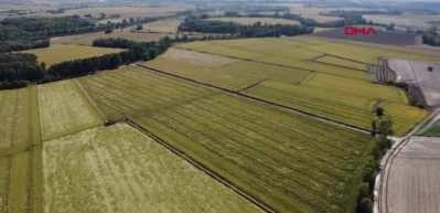 Edirne'de memurluk ve esnaflığı bırakan kardeşler kendilerini &ccedil;ift&ccedil;iliğe verdi