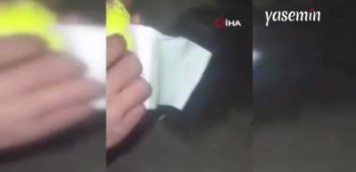 Ölmek üzere olan muhabbet kuşunu kalp masajı ve Fatiha ile hayatta tuttular!