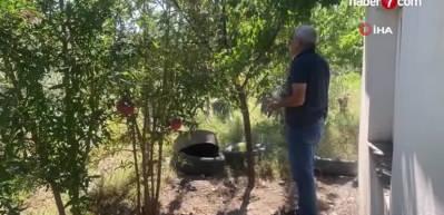 10 yıldır beslediği tavukları &ouml;nce &ccedil;aldılar, sonra kestiler, yetmedi bir de sattılar!
