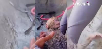 Ağa dolanan ve ölmek üzere olan maymunu işte böyle kurtardı! "Merhamet böyle bir şey"
