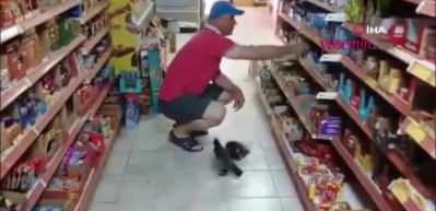 Rizeli adamın karga ile kurduğu sıra dışı dostluk şaşırttı! Çay ve etle besliyor