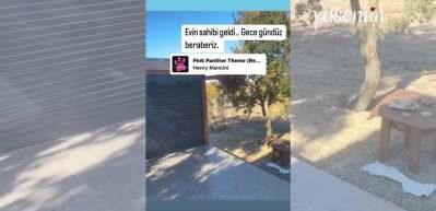 Kıvanç Tatlıtuğ'un Londra'daki evinde misafiri var! Bahçesine tilki girdi: "Evin sahibi geldi"