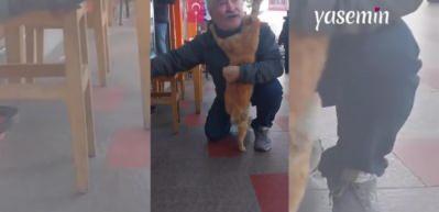 Susadı ve isteğini sarılarak belli etti! Kedinin o anları görenleri pamuk gibi hissettirdi