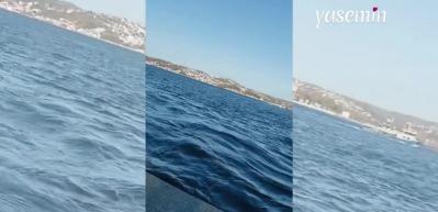 Filtreli video paylaşan Safiye Soyman gündem oldu! Seda Sayan filtresi ile...
