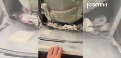 Çamaşır makinesinin içinden çıkanlar şaşırttı! Çoraplarının tekini sürekli kaybeden genç kızlar...