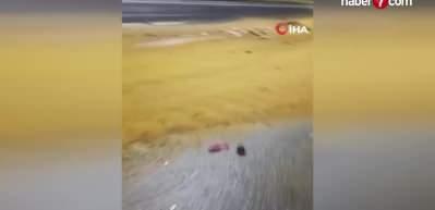 Denizli'de korkun&ccedil; kaza! Yolcu otob&uuml;s&uuml; TIR'la &ccedil;arpıştı, &ouml;l&uuml; ve yaralılar var