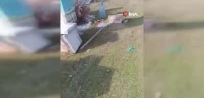 Van'ın Muradiye il&ccedil;esinde ayılar arı kovanlarına saldırıp k&uuml;mes hayvanlarını telef ediyor