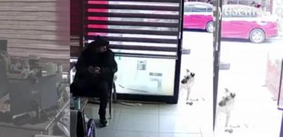 Vefalı Ares yapılan iyiliği karşılıksız bırakmadı! 5 yıldır ona bakan esnafa...