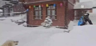 Doğu Karadeniz'de kar ve soğuk hava etkili oluyor