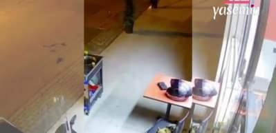 Kedi dükkanın önünden ayrılmadı! Hevesle beklemeye devam etti