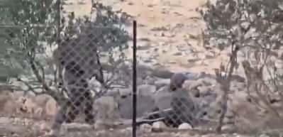 Filistinli yaşlı adama İsrail işkencesi: Bacağım yok!