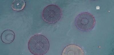 Doğu Karadeniz su &uuml;r&uuml;nleri ihracatında hedefini b&uuml;y&uuml;tmek istiyor