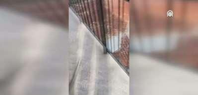 Giresun'da hayvanat bah&ccedil;esinden ka&ccedil;an maymun  balkonda yakalandı